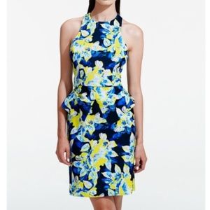 Life With Bird Riva Peplum Citron Dress Rose Print